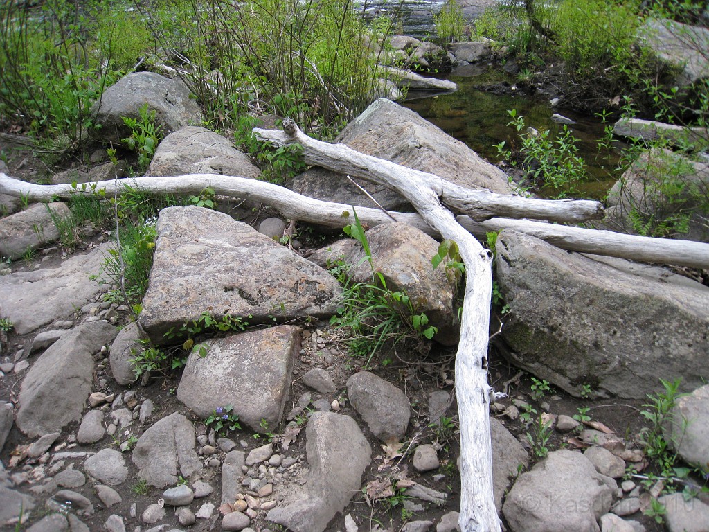 Old Hill Village - South End 570.jpg - In February 1937, residents of Hill Village NH learned that their village, near the Pemigewasset River, was to become a flood control reservoir for the Franklin Falls dam project. To accommodate the construction of the Franklin Falls Dam, the village of Hill NH was to be relocated. By January of 1940, the citizens of Hill NH formed an association, purchased land, and began planning a new model village with the help of the NH State Planning and Development Commission. Construction started in 1940, and by June of 1941 the new town hall and school were completed, along with the streets, water system, and 30 houses. The 1941 town meeting was called to order in the old town hall, recessed, and reconvened in the new village.